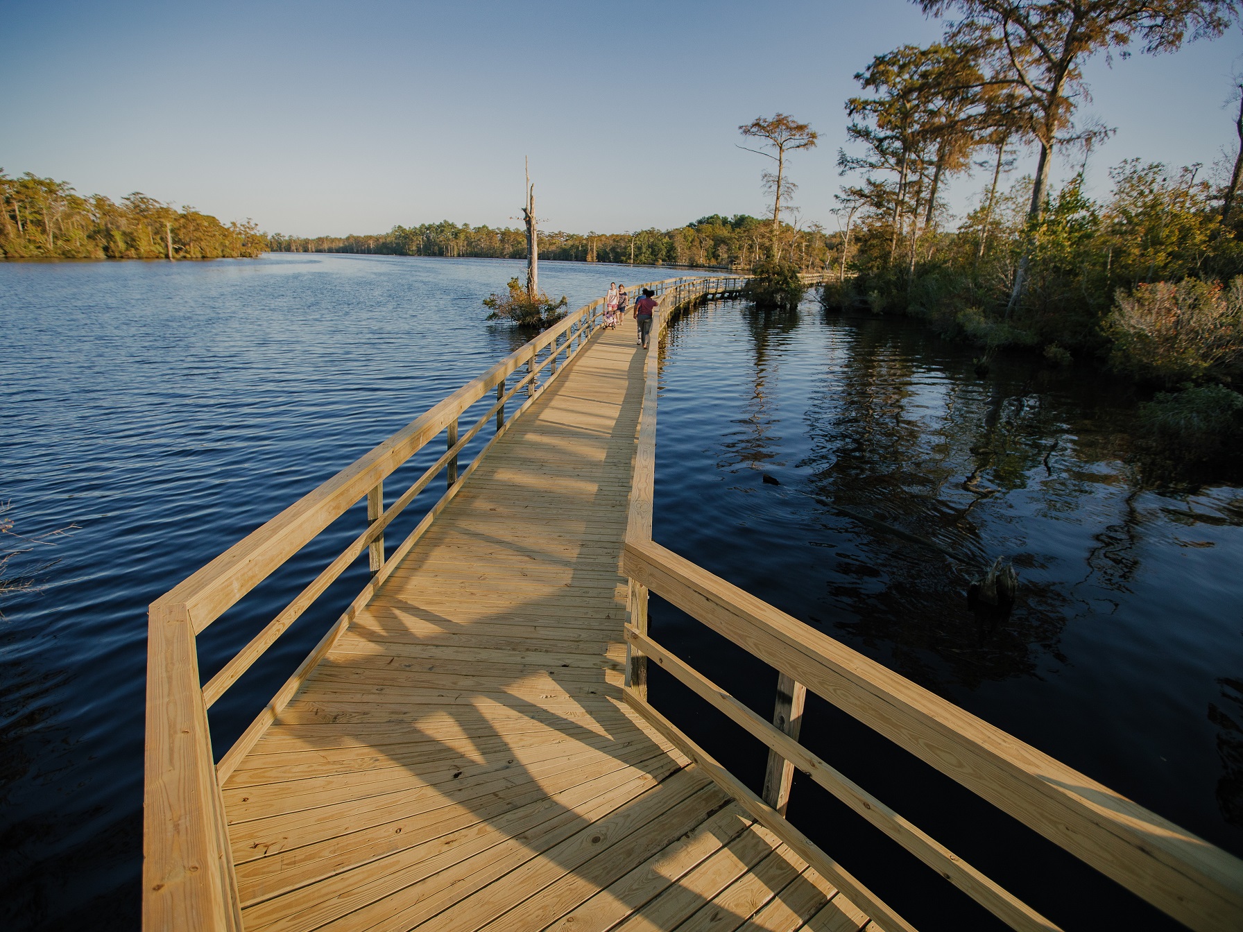 College of the Albemarle Fenwick-Hollowell Wetlands Trail