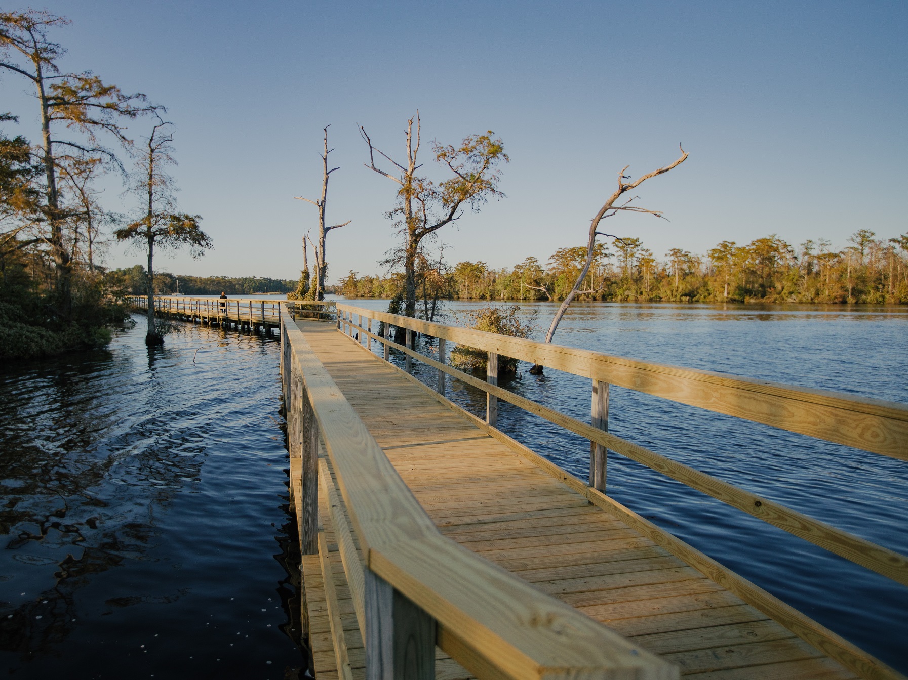 College of the Albemarle Fenwick-Hollowell Wetlands Trail