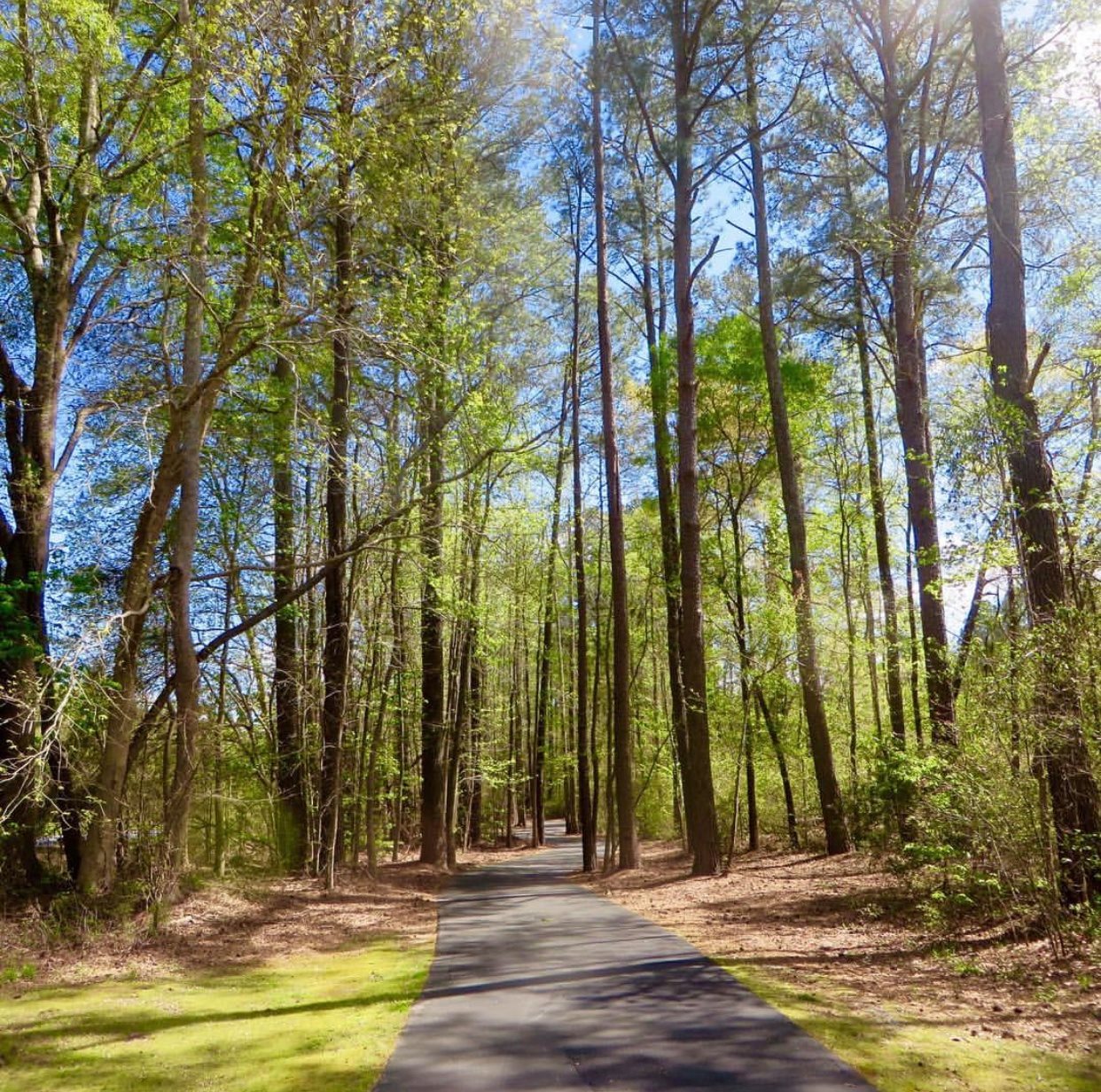 Dismal Swamp Canal Welcome Center