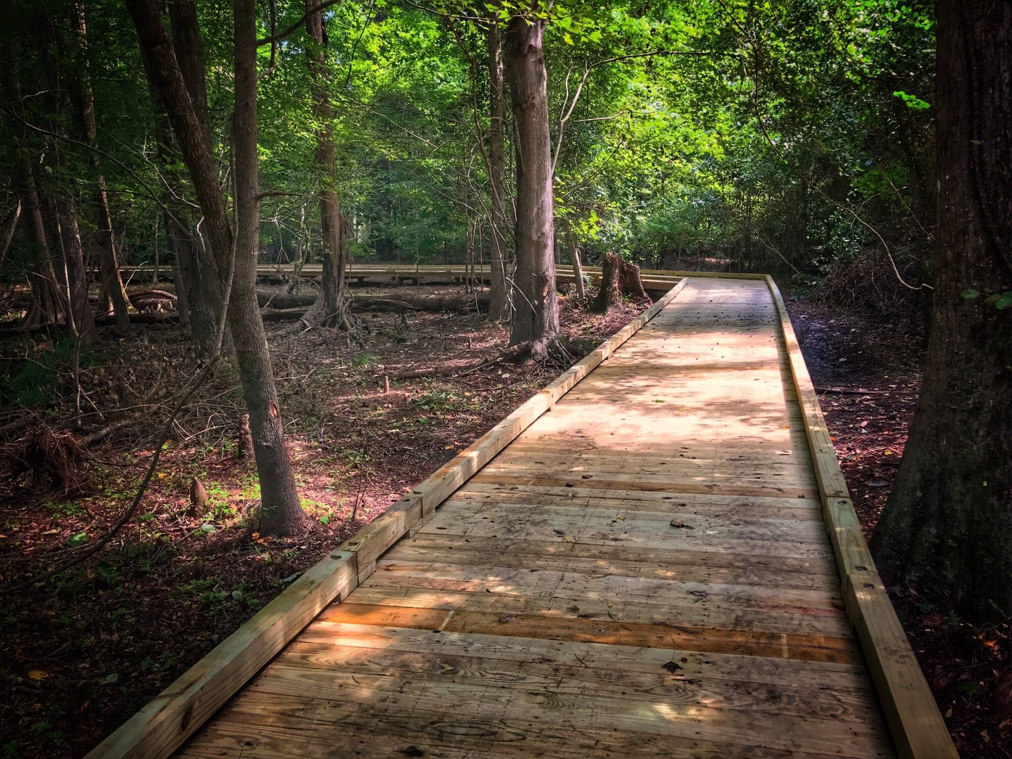 Merchants Millpond State Park