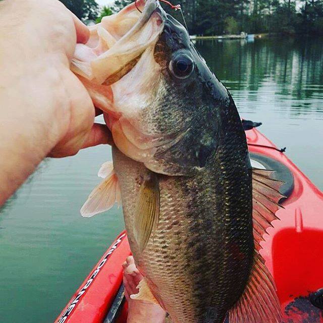 Kayak fishing large mouth bass