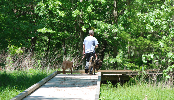 Pettigrew State Park